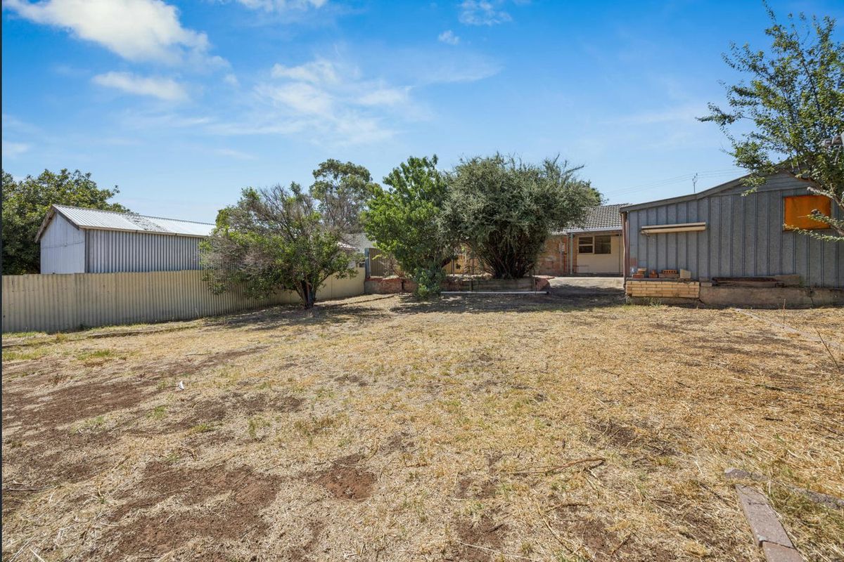 19 Kincraig Crescent, Modbury