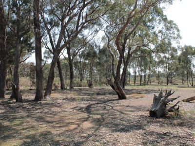 Lot 21 Davis Road, Heathcote
