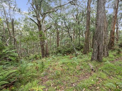 62 Shane Lane, Tolmie