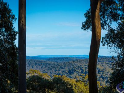 100 Hobbs Point Road, Narooma