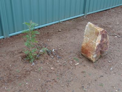 Lot 2, 244 High Street, Nagambie