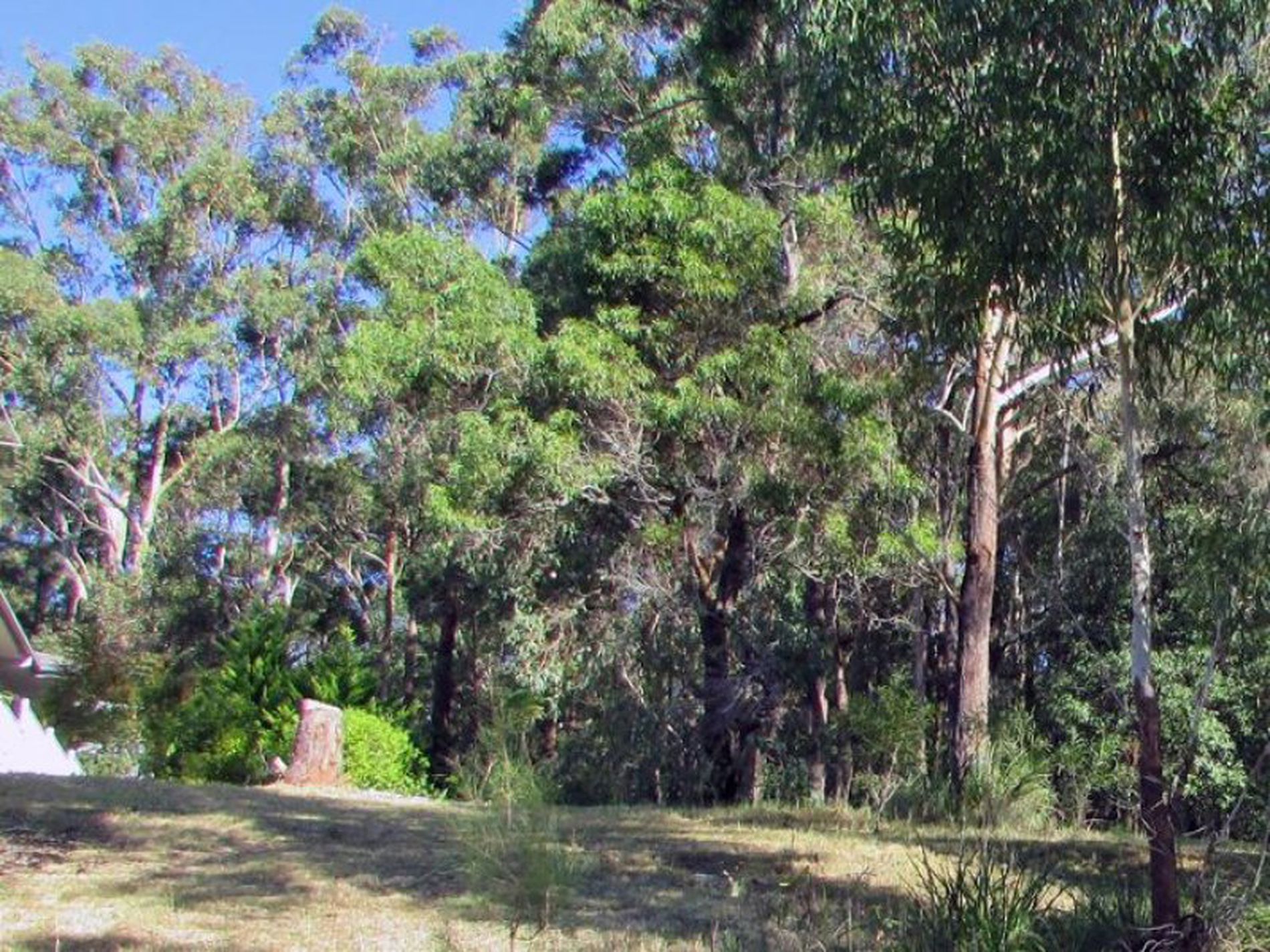 10 Blake Place, Narrawallee