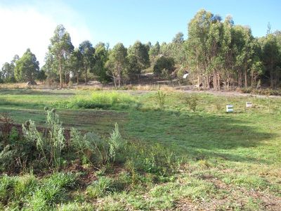 Geeveston