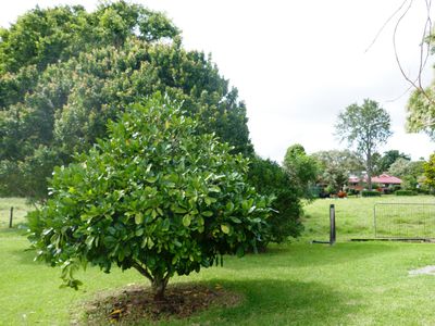 35 Peters Road, Glass House Mountains