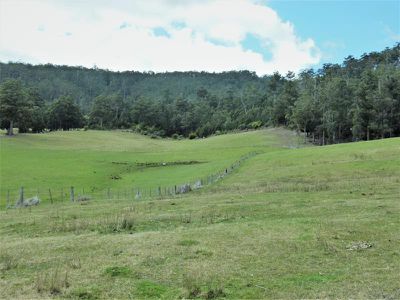 Lot 2 Rifle Range Road, Cygnet