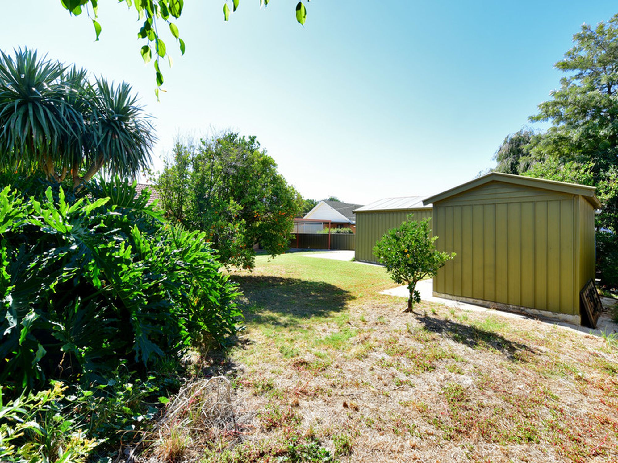59 Saint Andrew Crescent, Novar Gardens