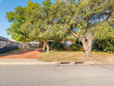 11 Brougham Crescent, Orelia