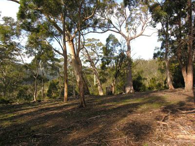 Office CO / Wens Road, Gardners Bay