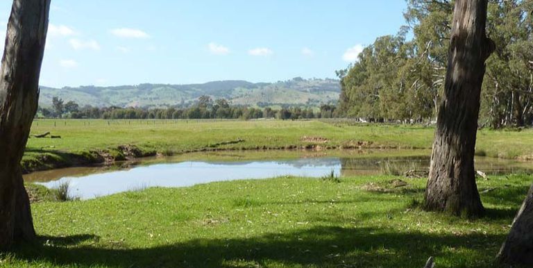 745 Balmattum North Road, Euroa