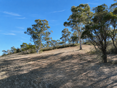 Lot 1 / 14 Ningee Nimbell Creek Road, Tomboye