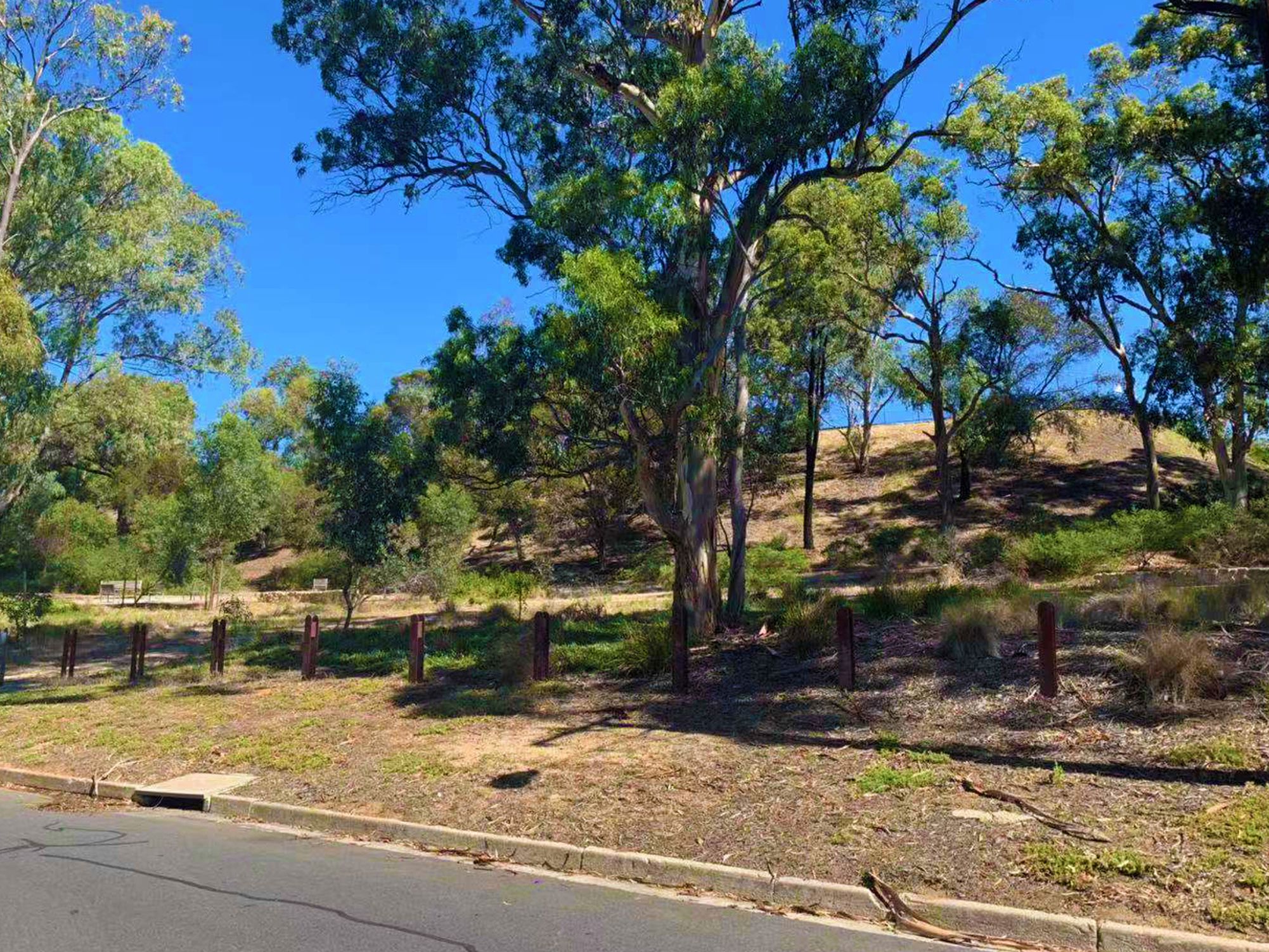 42 Caloroga Street, Wattle Park