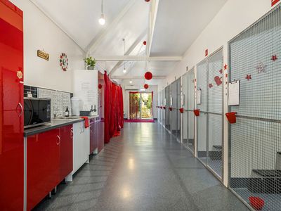 CatShack Cat Accommodation and Freehold for Sale