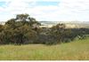 5553 Burrendong Way, Stuart Town