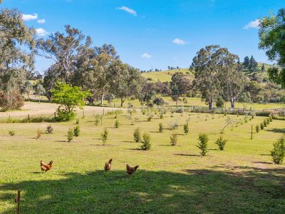165 Campagnolos Road, Mansfield