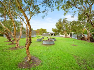 6 Acacia Drive, Millicent