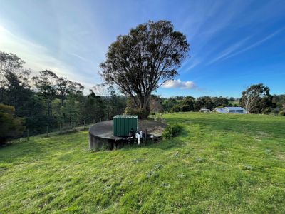 Wynyard