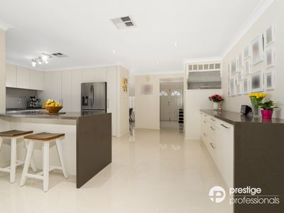 22 Trineura Court, Wattle Grove