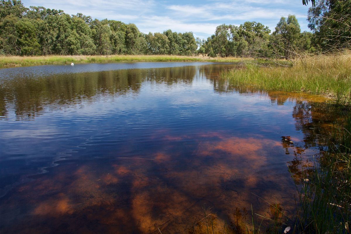 2932 Merton Euroa Road, Merton