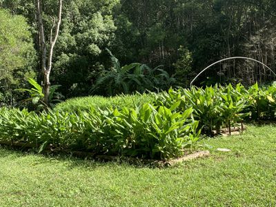 240 Crabbes Creek Road, Crabbes Creek