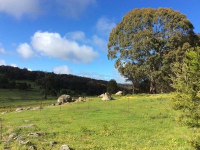 280 Landscape Road, Tallarook
