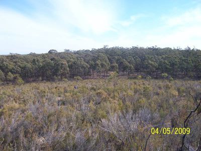 440 Willows Road, Murchison