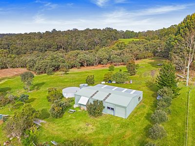 343 Dingo Flat Road, Hazelvale