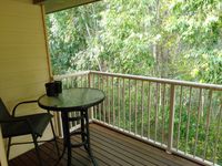 232 Guineas Creek Road, Elanora