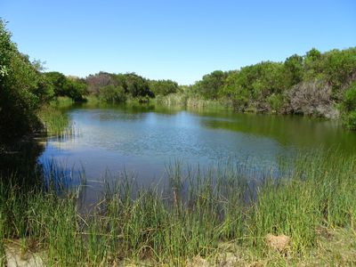 9635 SOUTHERN PORTS HIGHWAY, Beachport