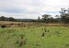 Lake Endeavour Road, Parkes