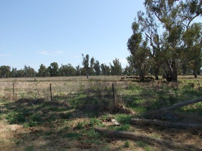 Lot 392 Kamilaroi Highway, Gunnedah