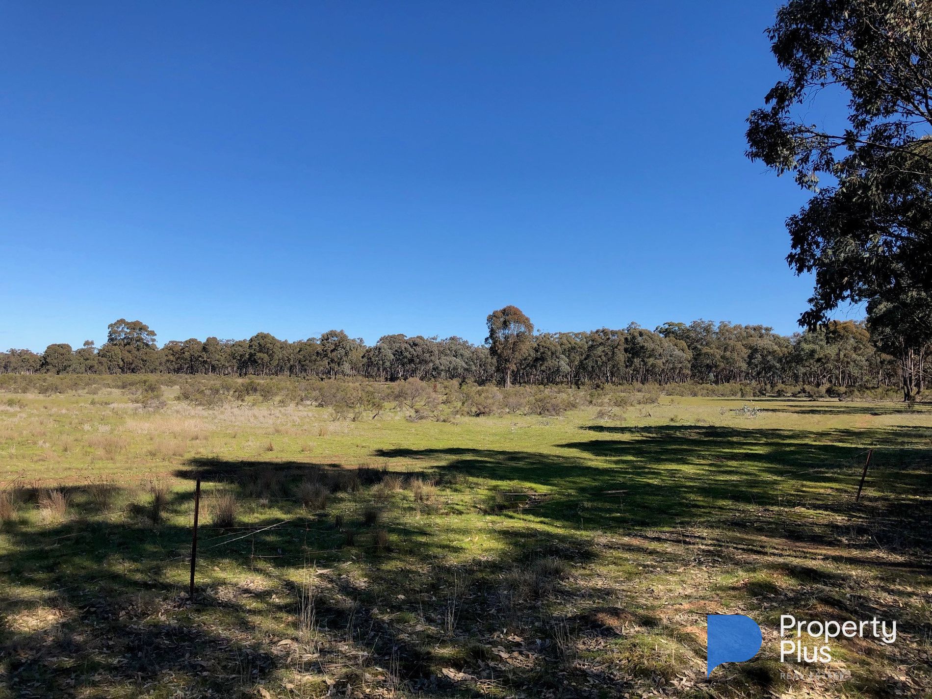 Lot 18 & 19, Derby Road, Campbells Forest