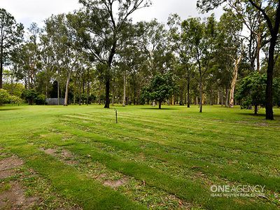 38 Considine St, Ellen Grove
