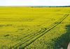 155 Claypans Road, Copeville
