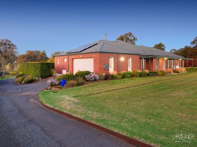 59 HILLANDALE COURT, Bonegilla