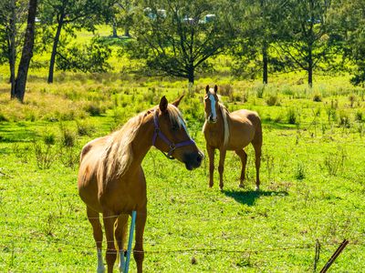 18 Waincourt Road, Eurobodalla