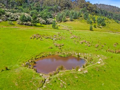 474 Wattle Grove Road, Wattle Grove