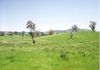 Lot 2 Icely Road, Orange