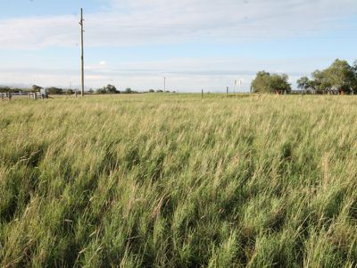 Lot Lot 7, Prices Lane, Merriwa