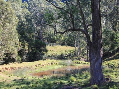 119E Mackays Road, Kangaroo Valley