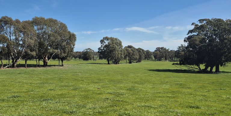 Lot 1  10 Dunnings Road, Balmattum