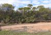 Lot 18493 Tutanning Road, East Pingelly