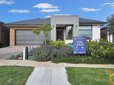 17 Rondo Drive, Manor Lakes