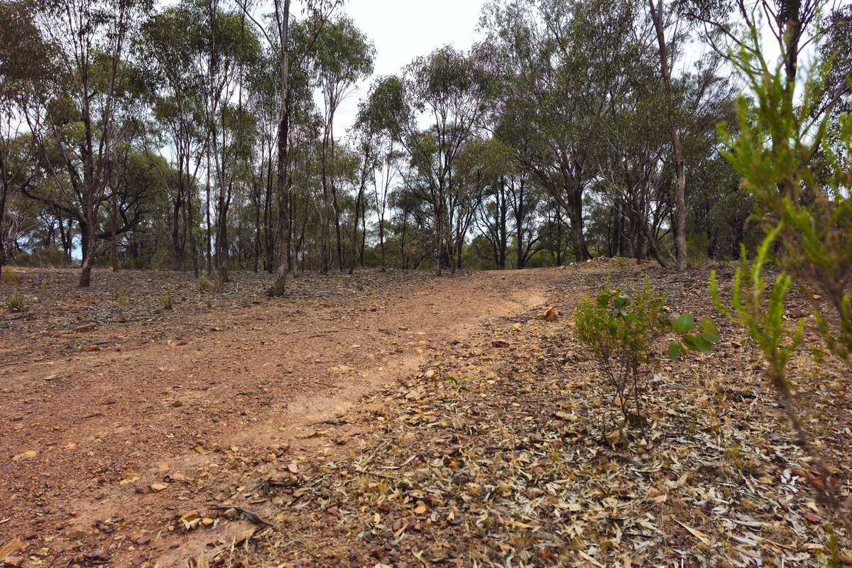 Lot 98 Middle Road, Rushworth