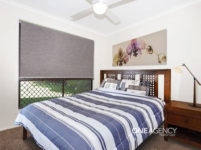 33 Brushtail Cres, Doolandella