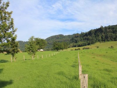 246b Martinvale Lane, Jaspers Brush