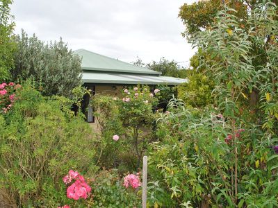 6 Tenth st, Millicent