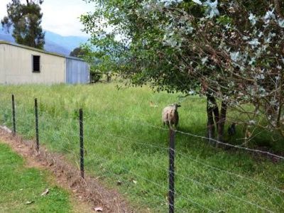 156 Mountain Creek Road, Tawonga