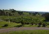119 Allambie Road, Orange