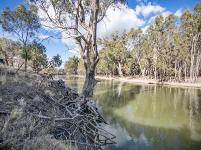 8687 Pretty Pine Road, Moulamein