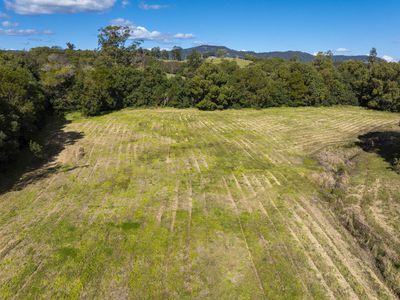 162 BLUE KNOB ROAD, Nimbin